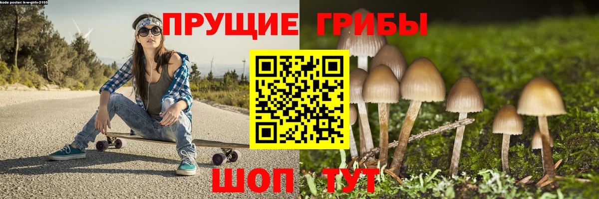Дубна  Псилоцибиновые грибы Psilocybine cubensis  Вход с VPN 